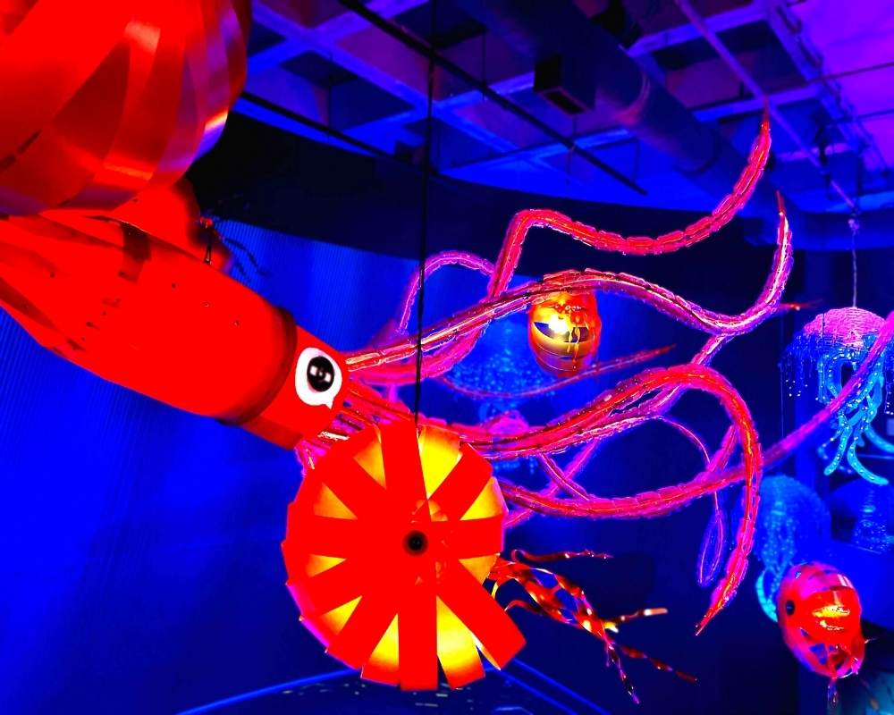 Thing To Do Rainy Day Activities